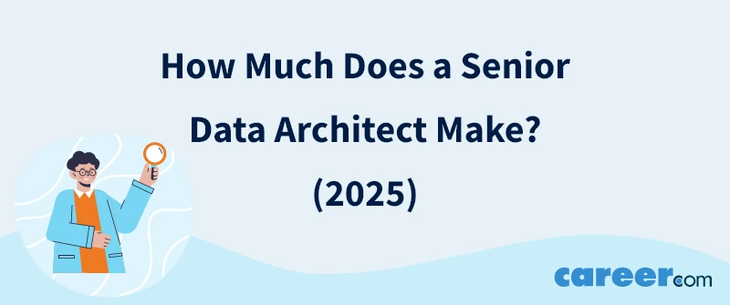 How Much Does a Senior Data Architect Make? (2025)